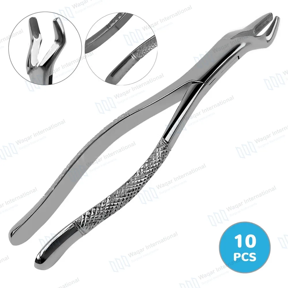10 American Pattern Extracting Forceps No. 10S