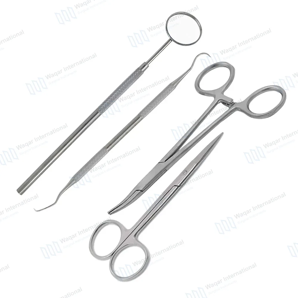 4 Pcs Veterinary Tooth Examination Diagnostic Set Dog Cat Grooming Dental Surgery Kit