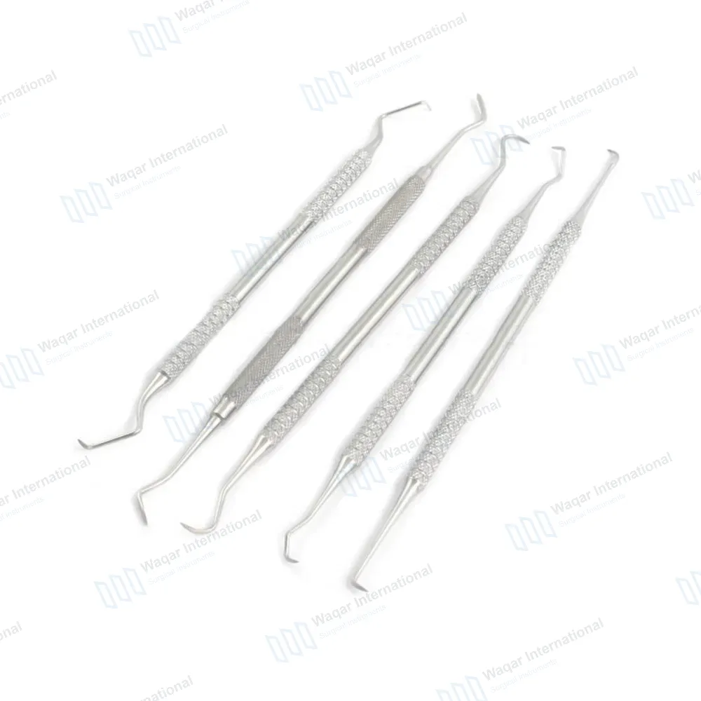 Feline Dental Kit Scaler & Probe Small Animal Dental Feline Small Dogs Cats