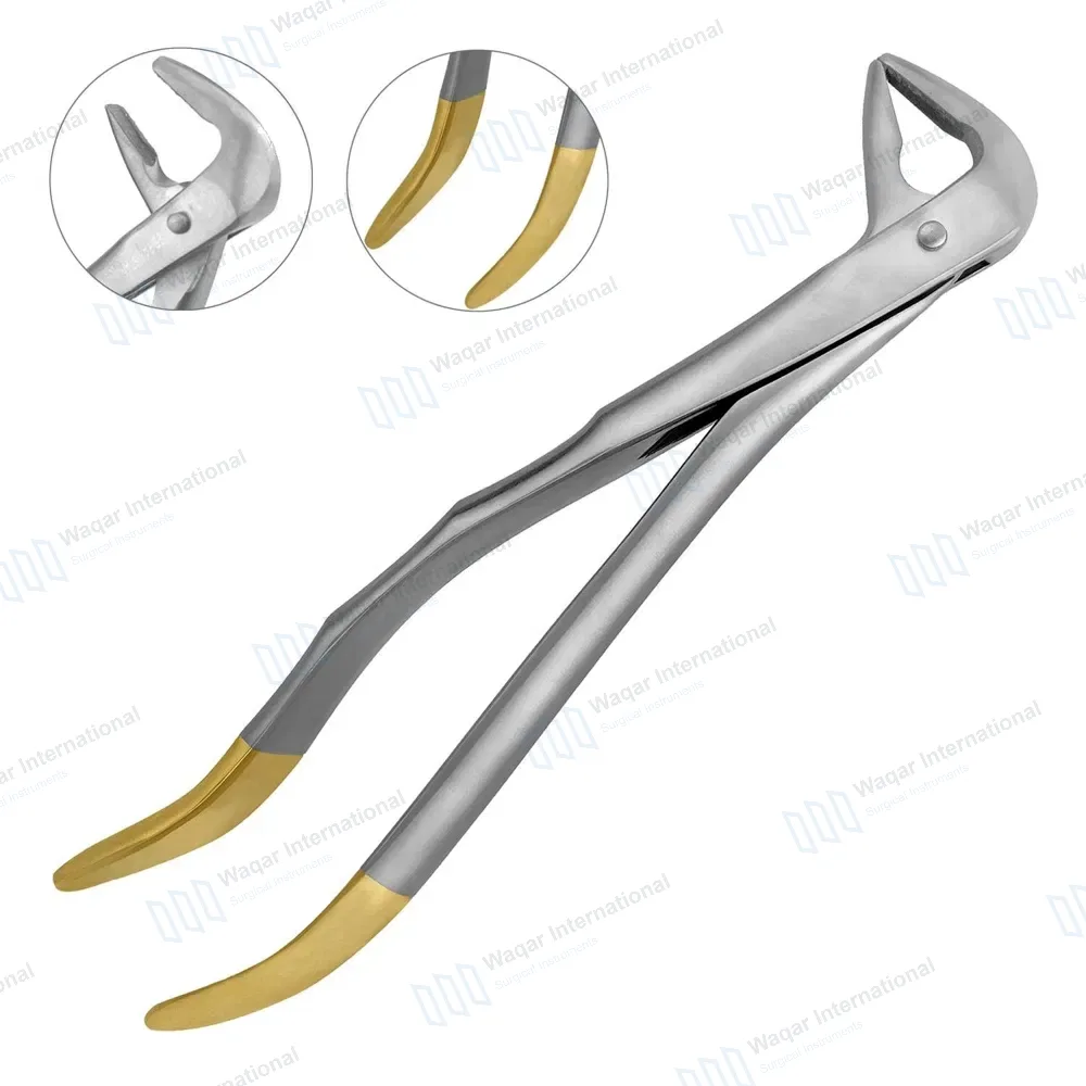 T/C Extracting Forceps #859 for Lower Root & Molars, Delicate
