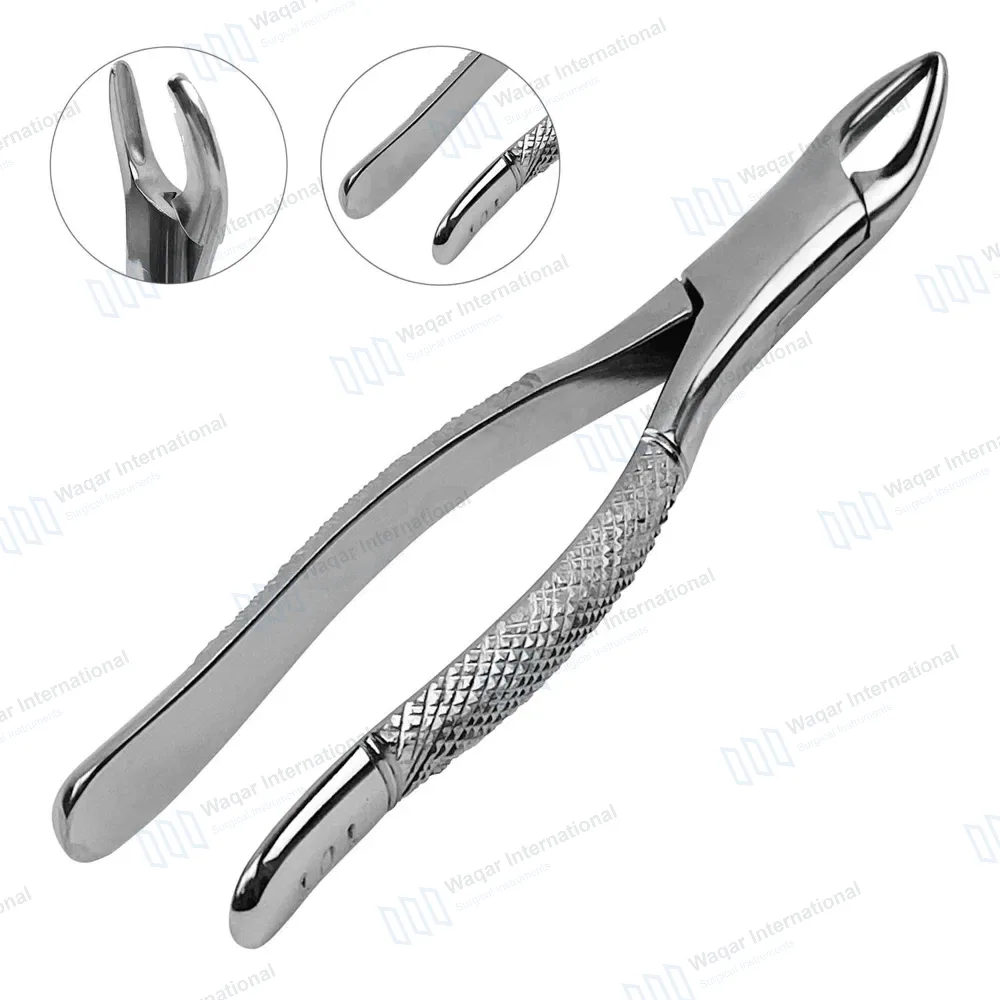 Dental Extracting Forceps #101 for Upper & Lower Premolars