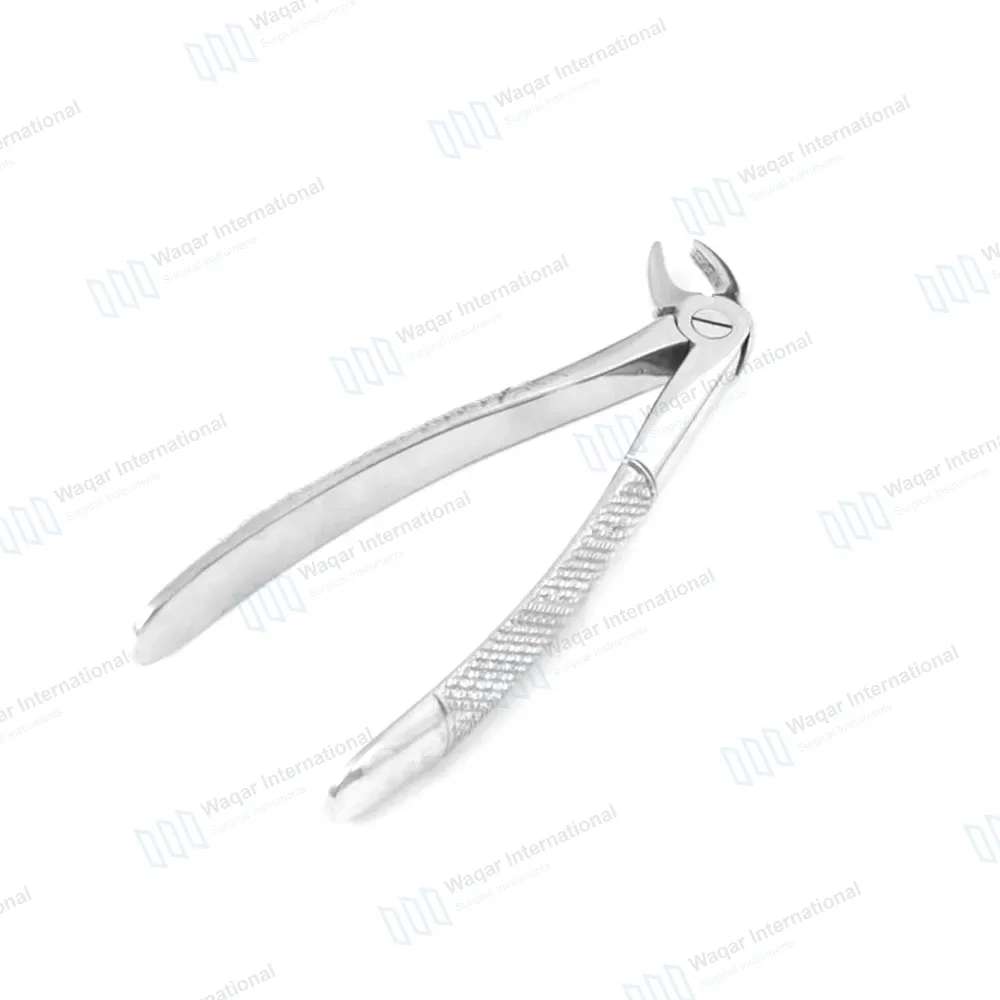 English Extracting Forceps No.33 S