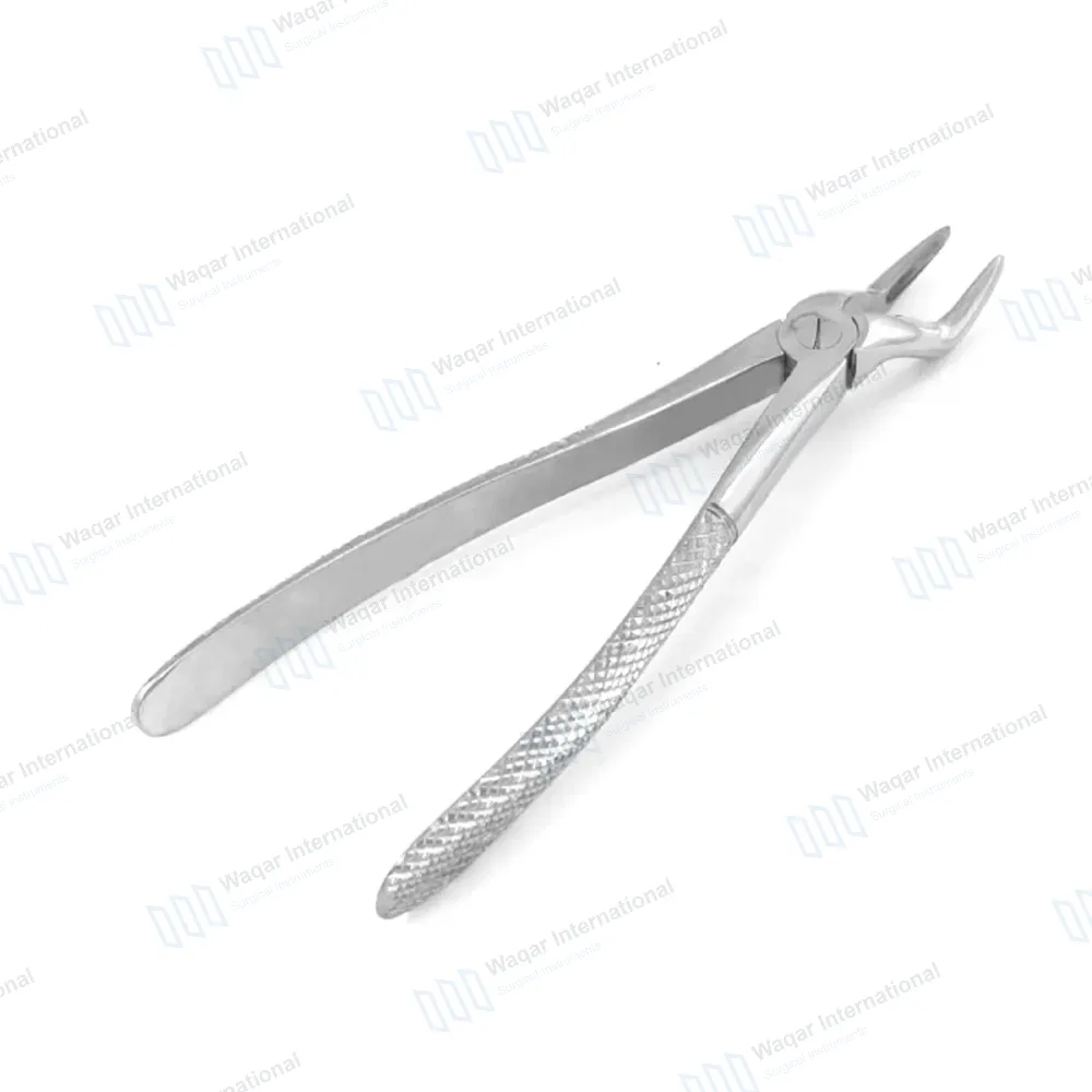 English Extracting Forceps No. 51S