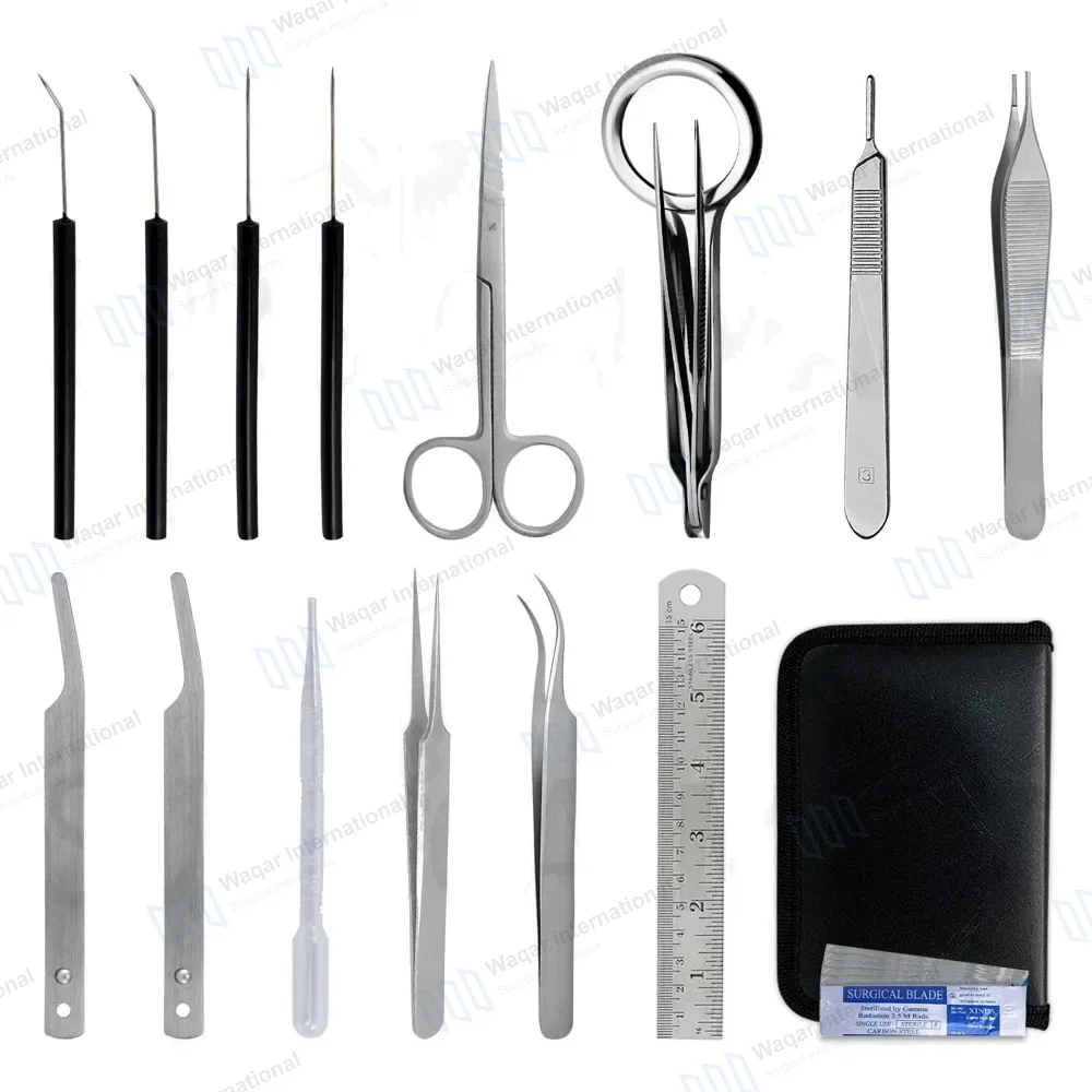 34 Pcs Entomology Dissection Kit