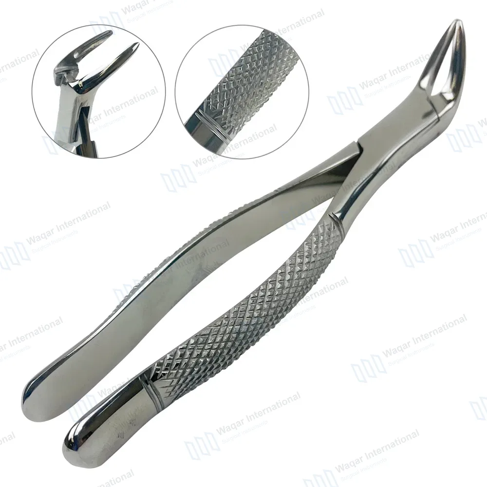 Dental Extracting Forceps No.44 Lower Anterior