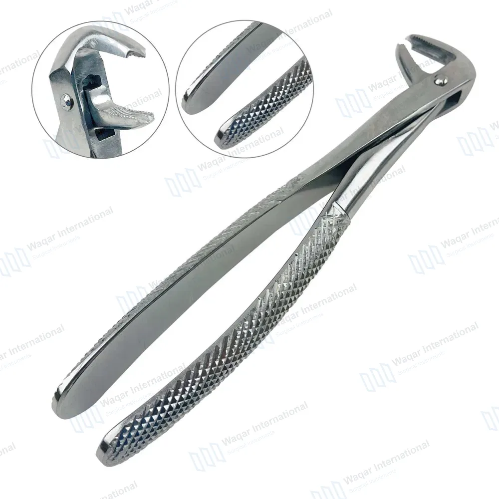 English Extracting Forceps #73 Lower Molars