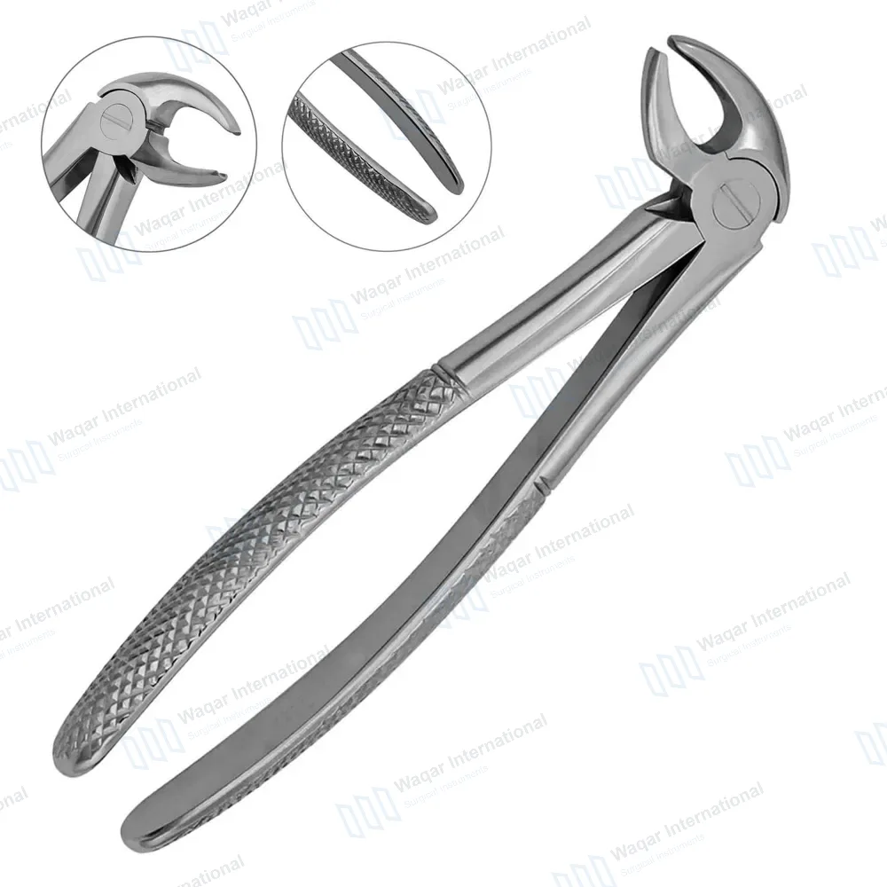 English Mead Extracting Forceps #MD3 for Lower Incisors and Roots