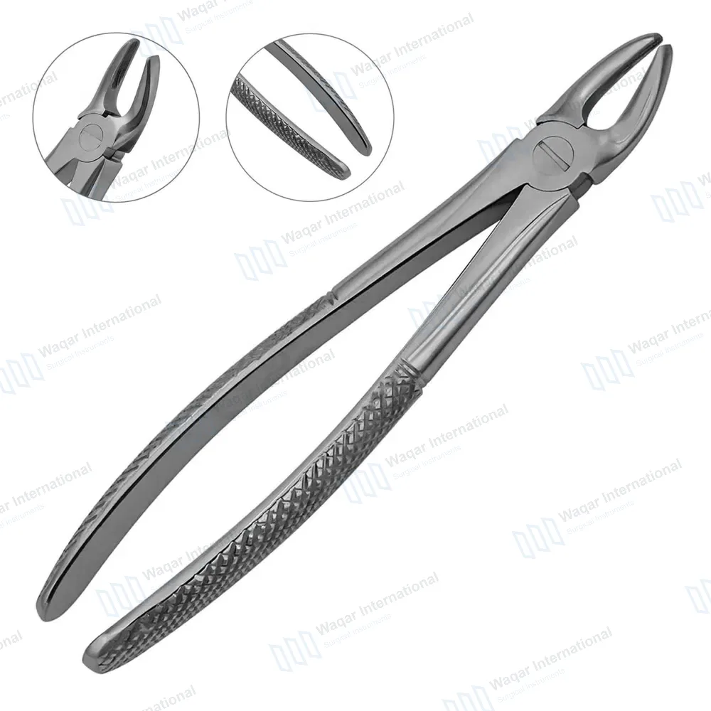 English Mead Extracting Forceps #MD2 for Upper Molars