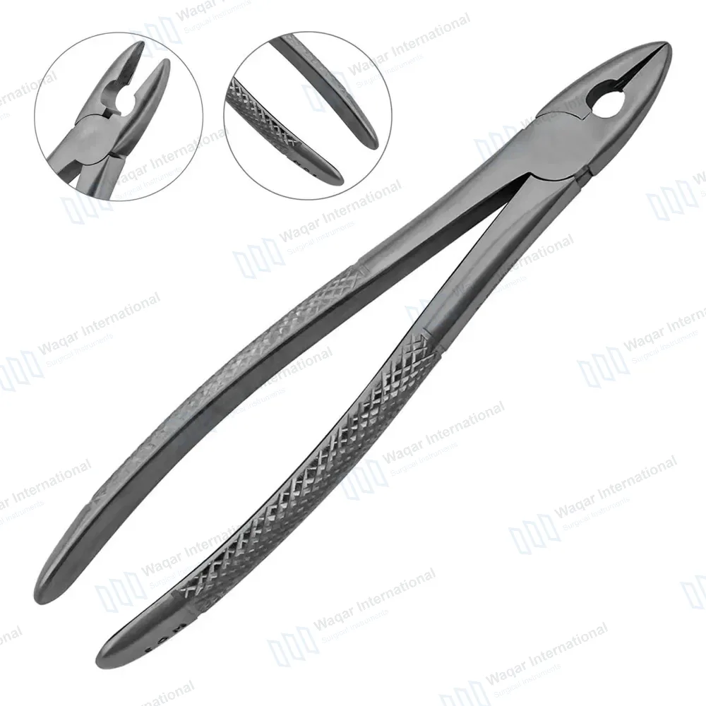 English Extracting Forceps #MD1 for Upper Wisdom Serrated Jaws