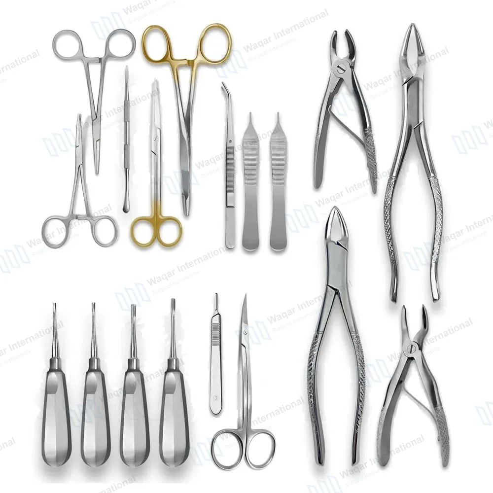 18 Pcs Dog Dental Extraction Forceps Elevator Kit Veterinary Set