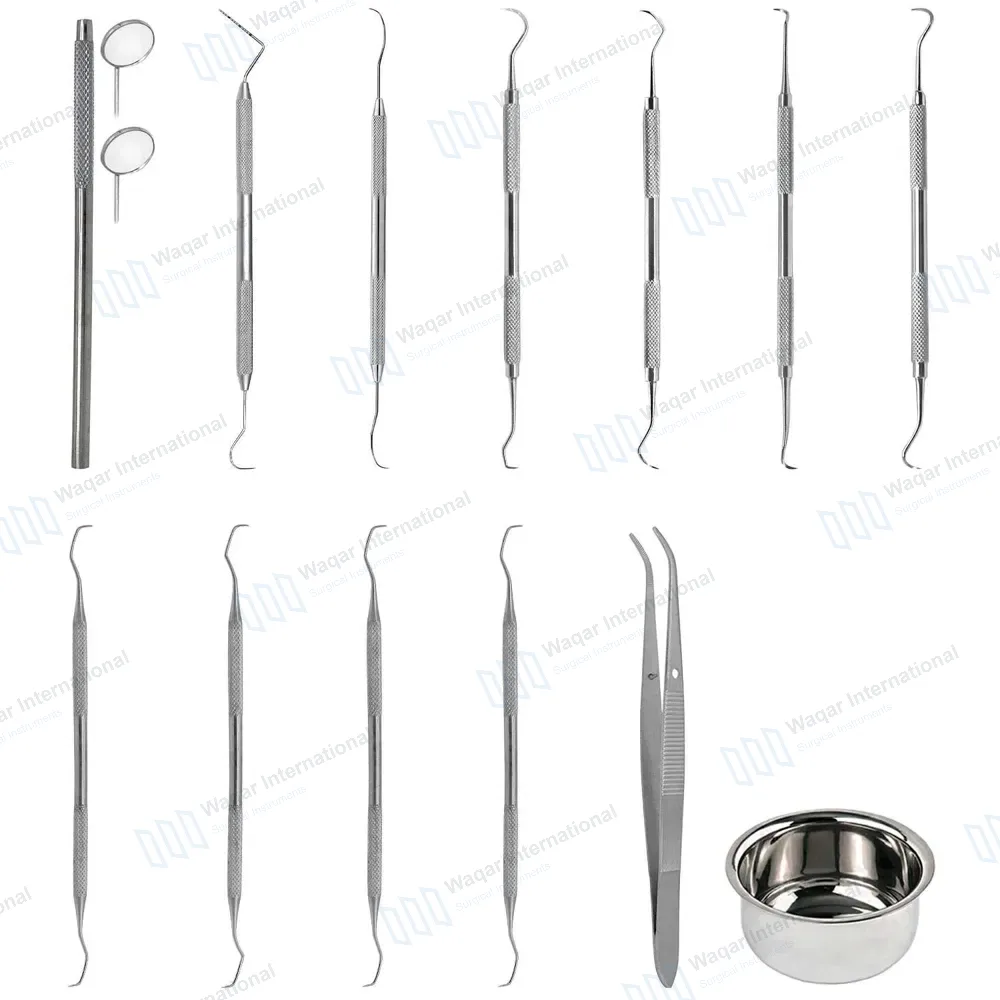 13 Pcs Advance Dental Prophy Kit