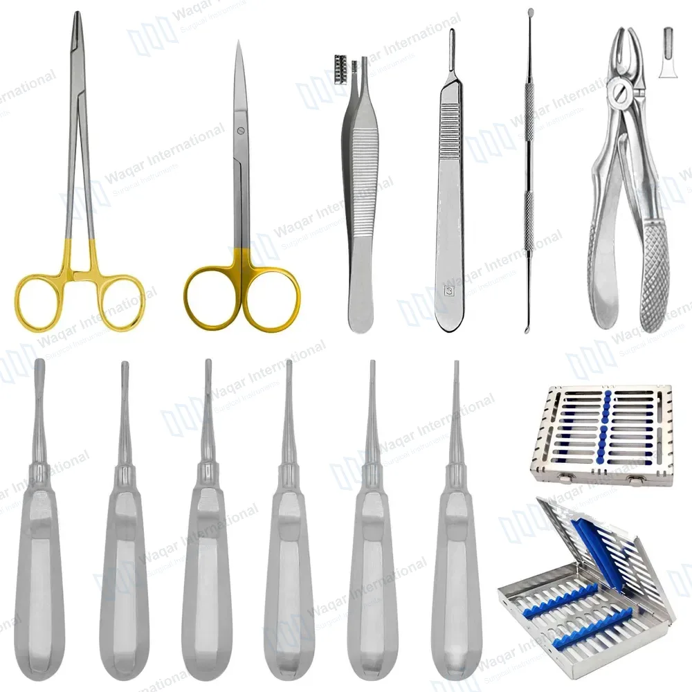 12 Pcs Small Animal Dental Extraction Set with Sterilization Cassette