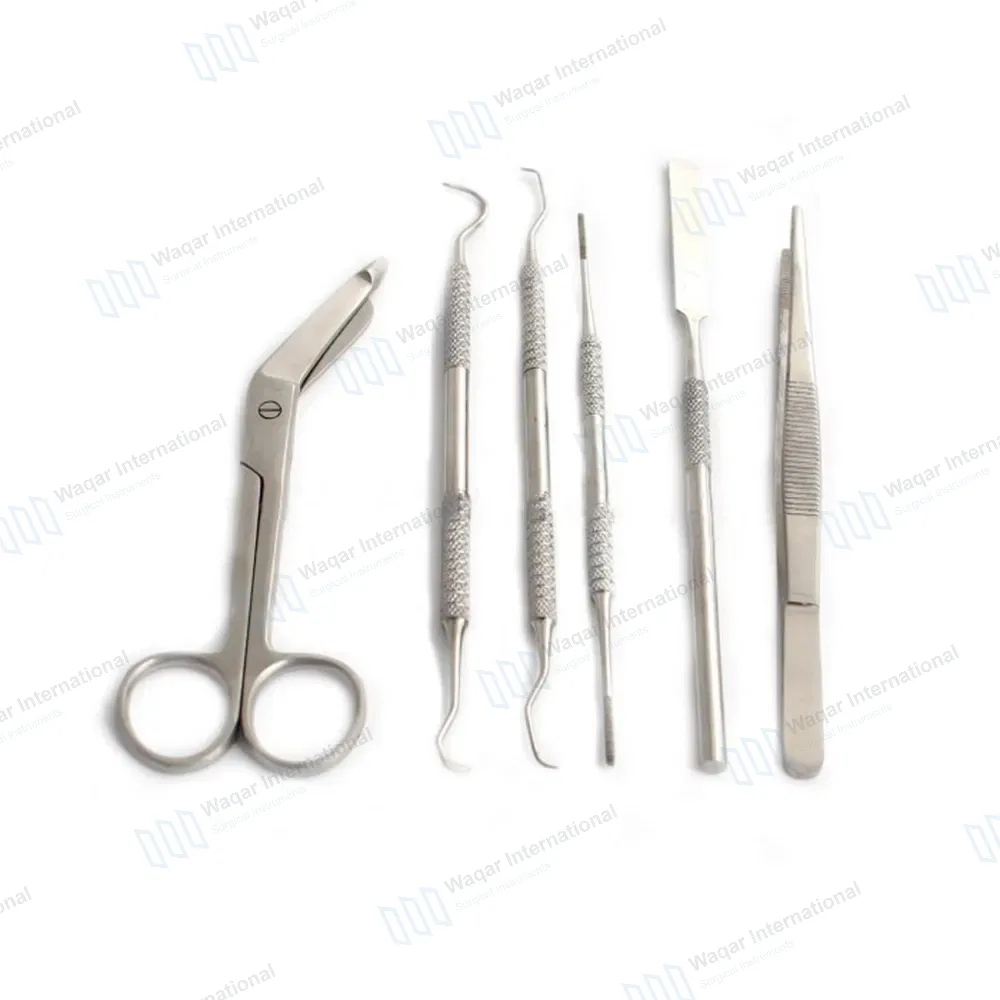 6 Pcs Dental Instruments Set