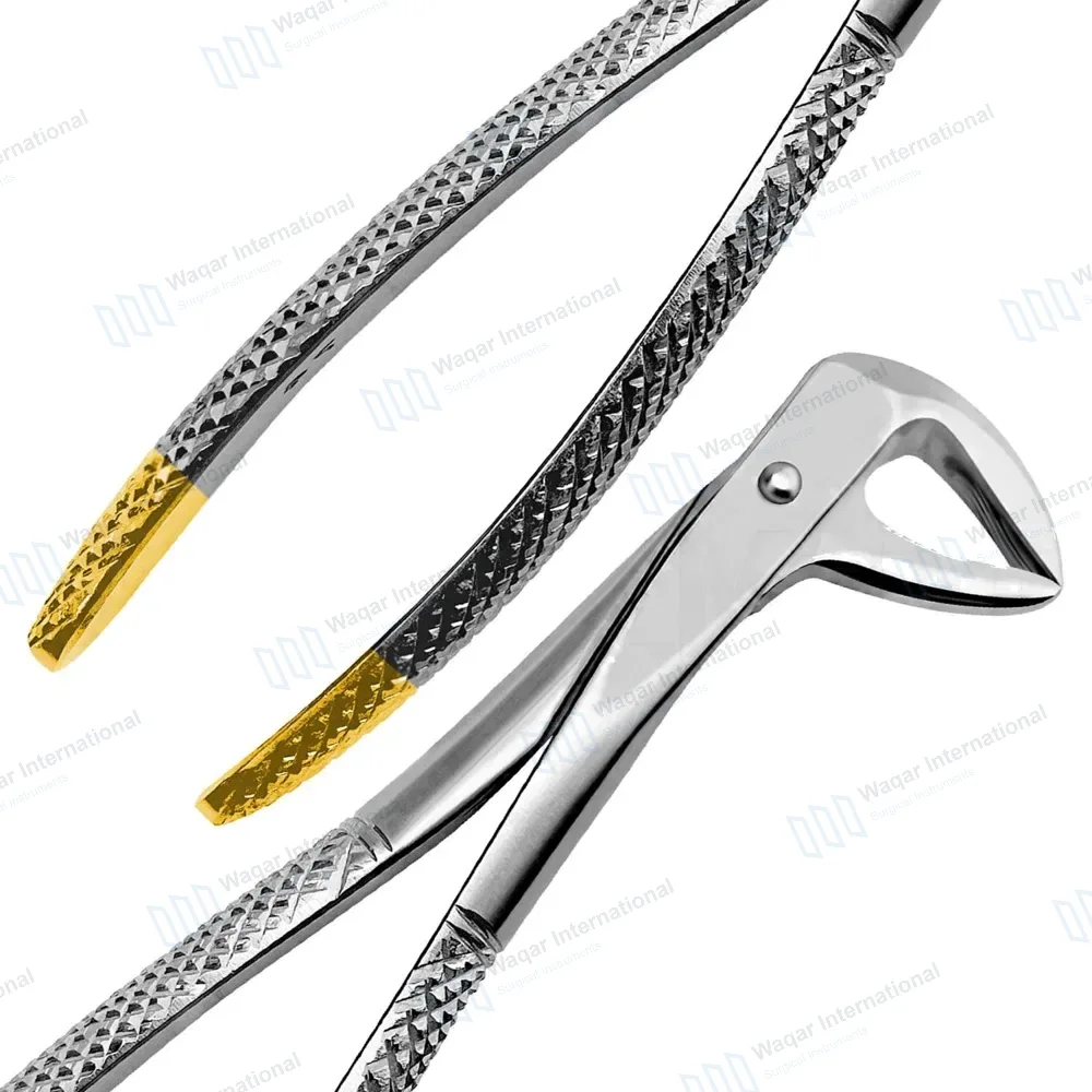 Set of 10 Pcs Oral Dental Extraction Kit+Extracting Forceps #150+151+74N
