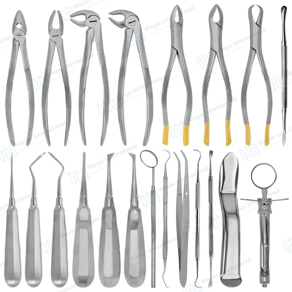 21 Pc Basic Oral Dental Root Surgery Extraction Elevators Forceps Kit Set