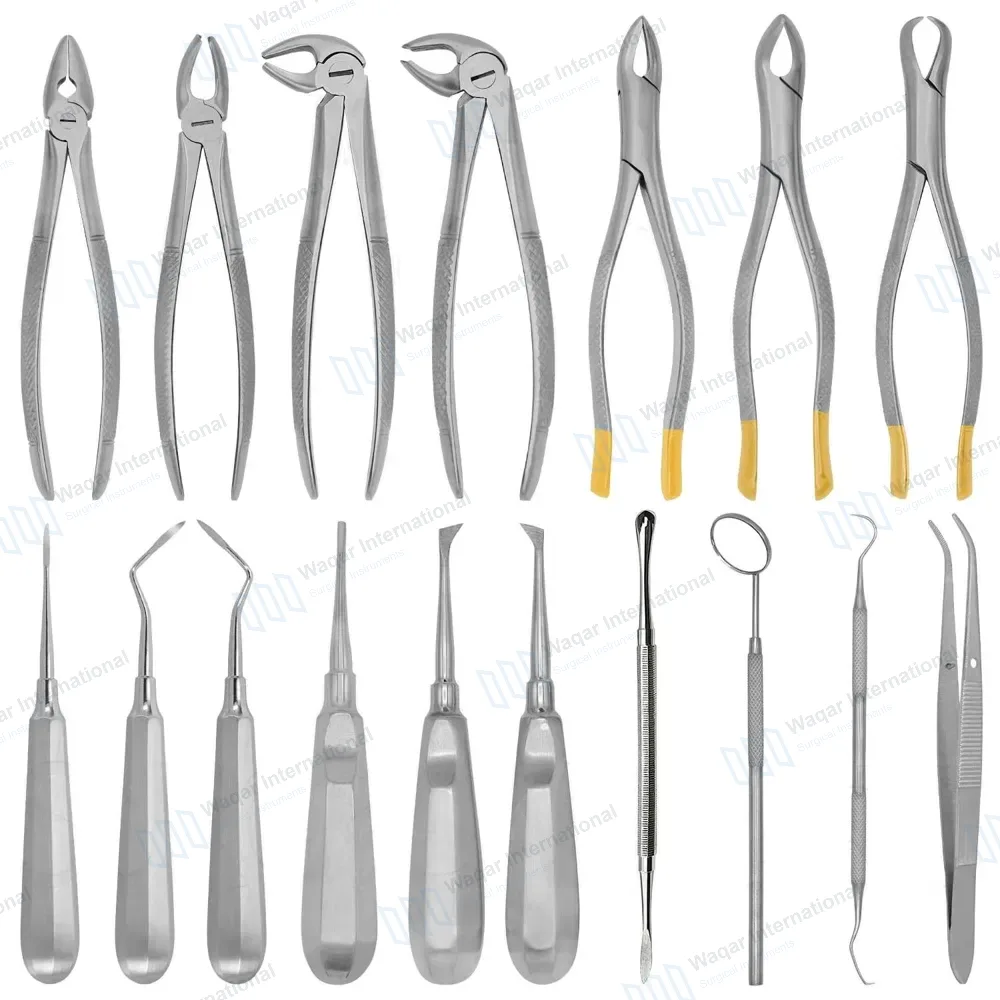 17 Pcs Oral Dental Root Surgery Extracting Elevators Forceps Kit Set