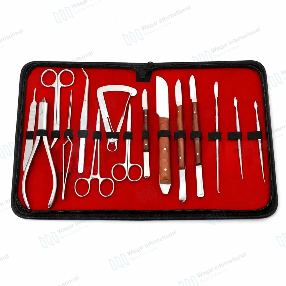 15 Pcs Dental Laboratory Set with Carrying Case