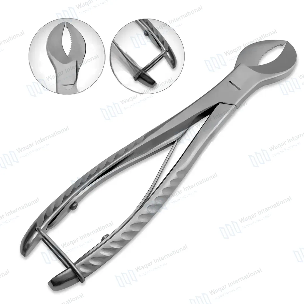 Cow Horn Plaster Nipper 8″ with Handle Lock