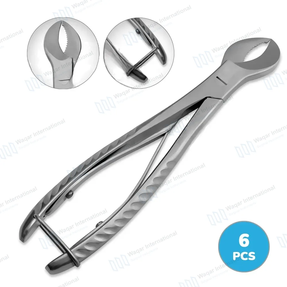 6 Cow Horn Plaster Nipper 8″ (20.3cm) Surgical Dental