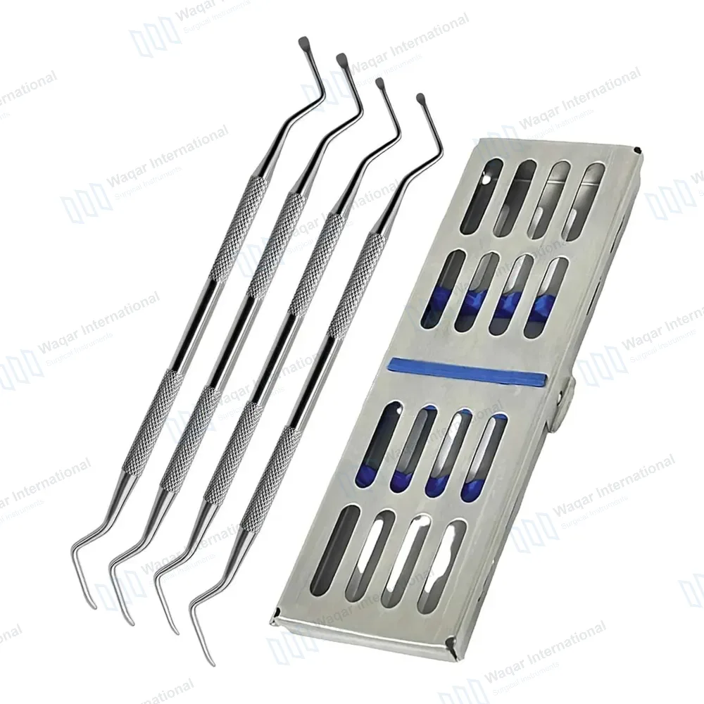 5 Pcs Periodontal Lucas Bone Dental Curettes with Sterilization Box Cassette