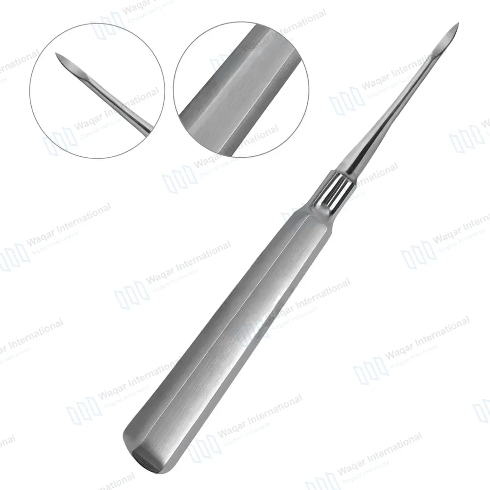 Heidbrink Root Elevator 1 Straight Slightly Curved Pointed Tip