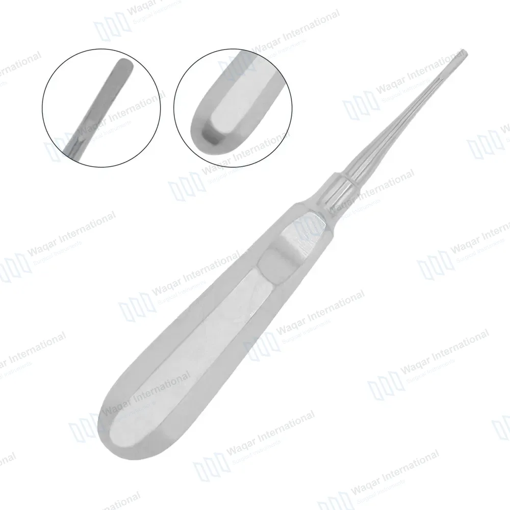 Apical Root Elevators 301 Straight 2.5mm Small Tip