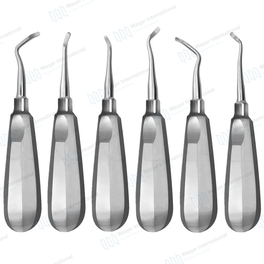 6 Miller Dental Tooth Extracting East West Elevator Right+Left Rounded Blade