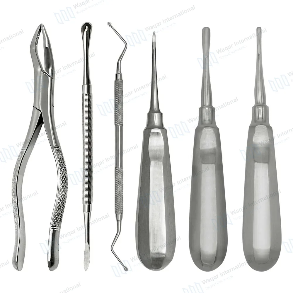 6 Pcs Basic Exodontia Kit