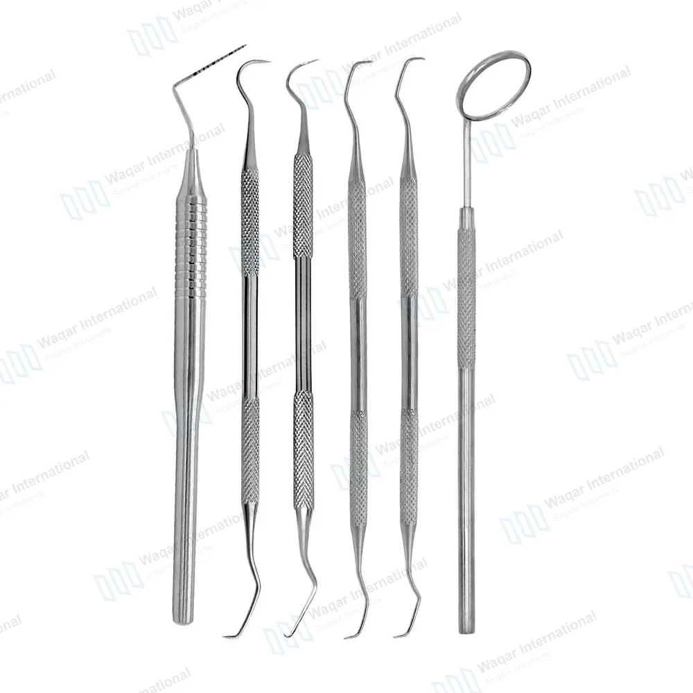 6 Pcs Basic Dental Prophy Instruments Kit for Small Animals
