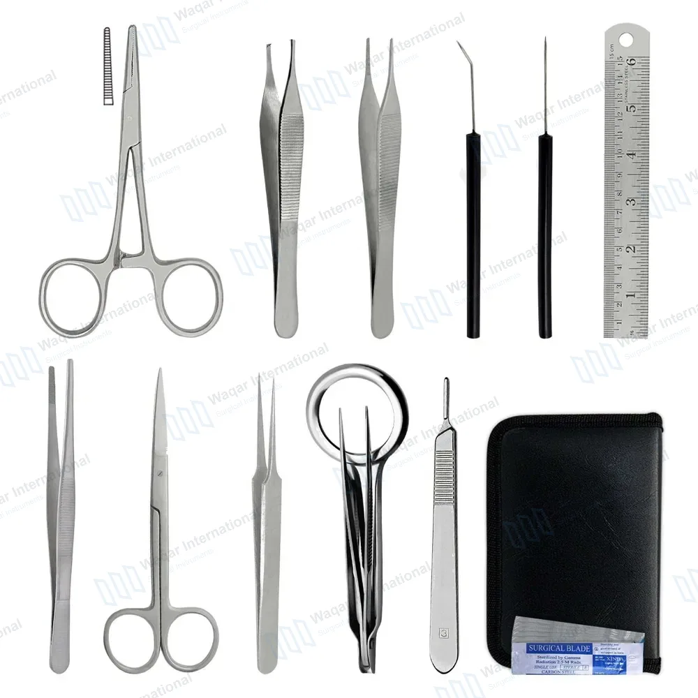 15 Pcs Birds Dissection Kit