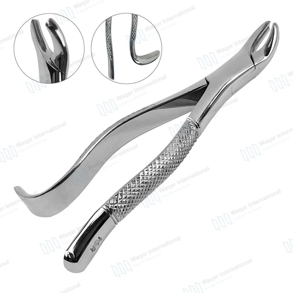Dental Extracting Forceps #18R for Upper 1st & 2nd Molars