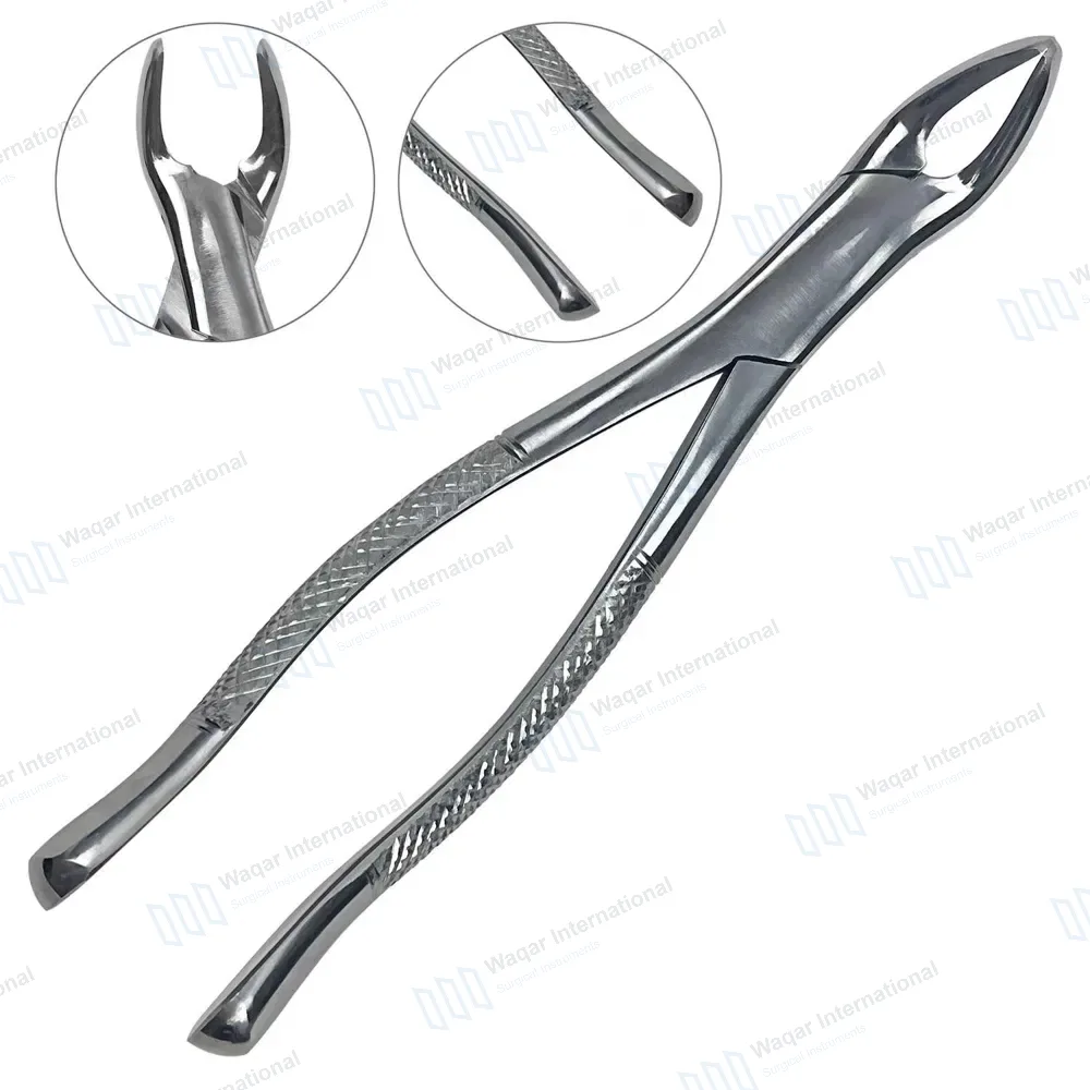 Universal Extraction Forceps #151 for Lower Teeth