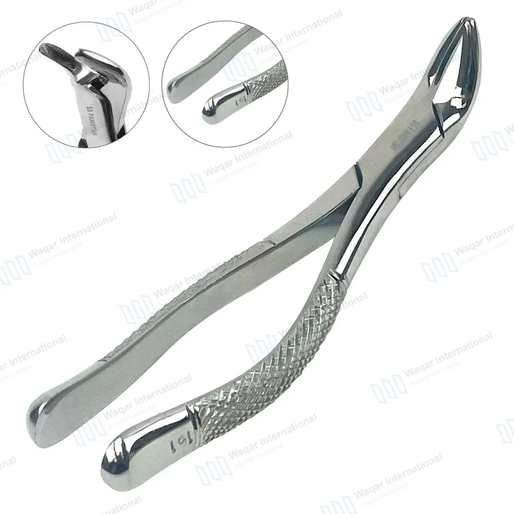 Pedo Extracting Forceps #151S Dental Surgical Instrument