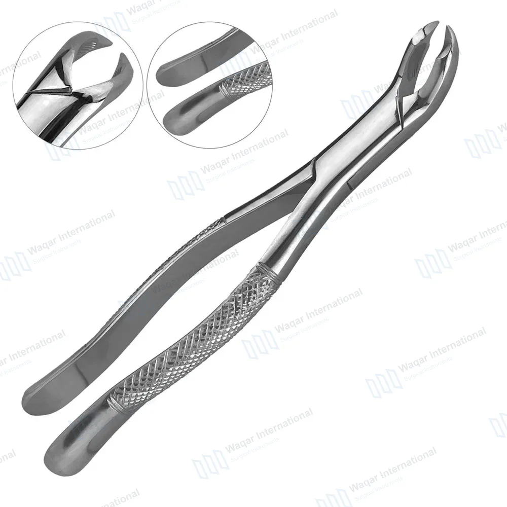 Extracting Forceps 3FS Dental Surgical Instrument