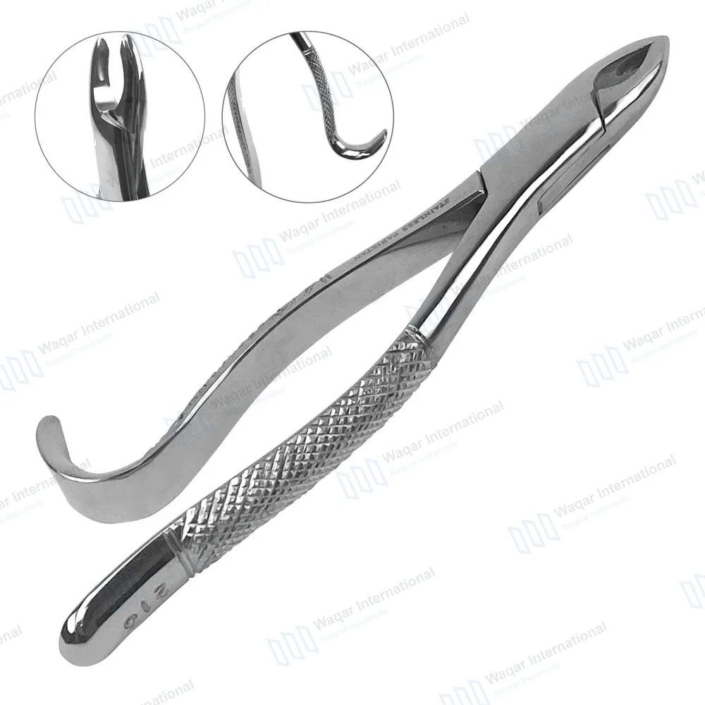 Dental Extracting Forceps #213 for Upper Central & Canines Roots