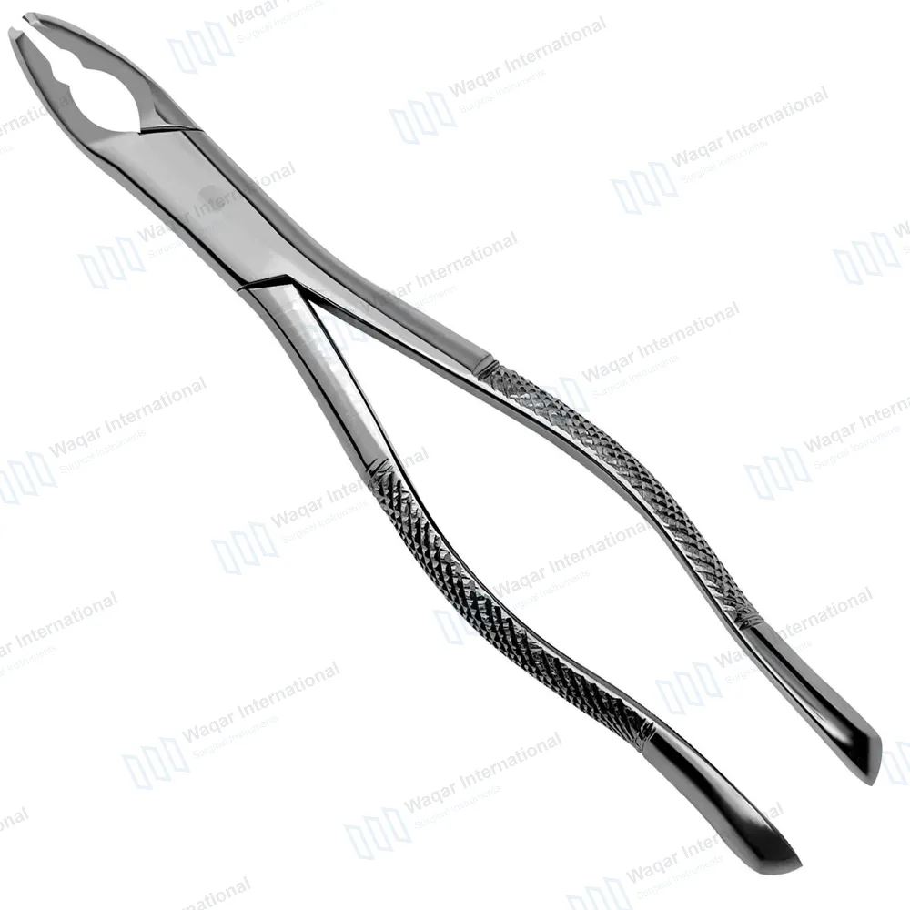 Extracting Forceps #151AS Serrated Split Beaks
