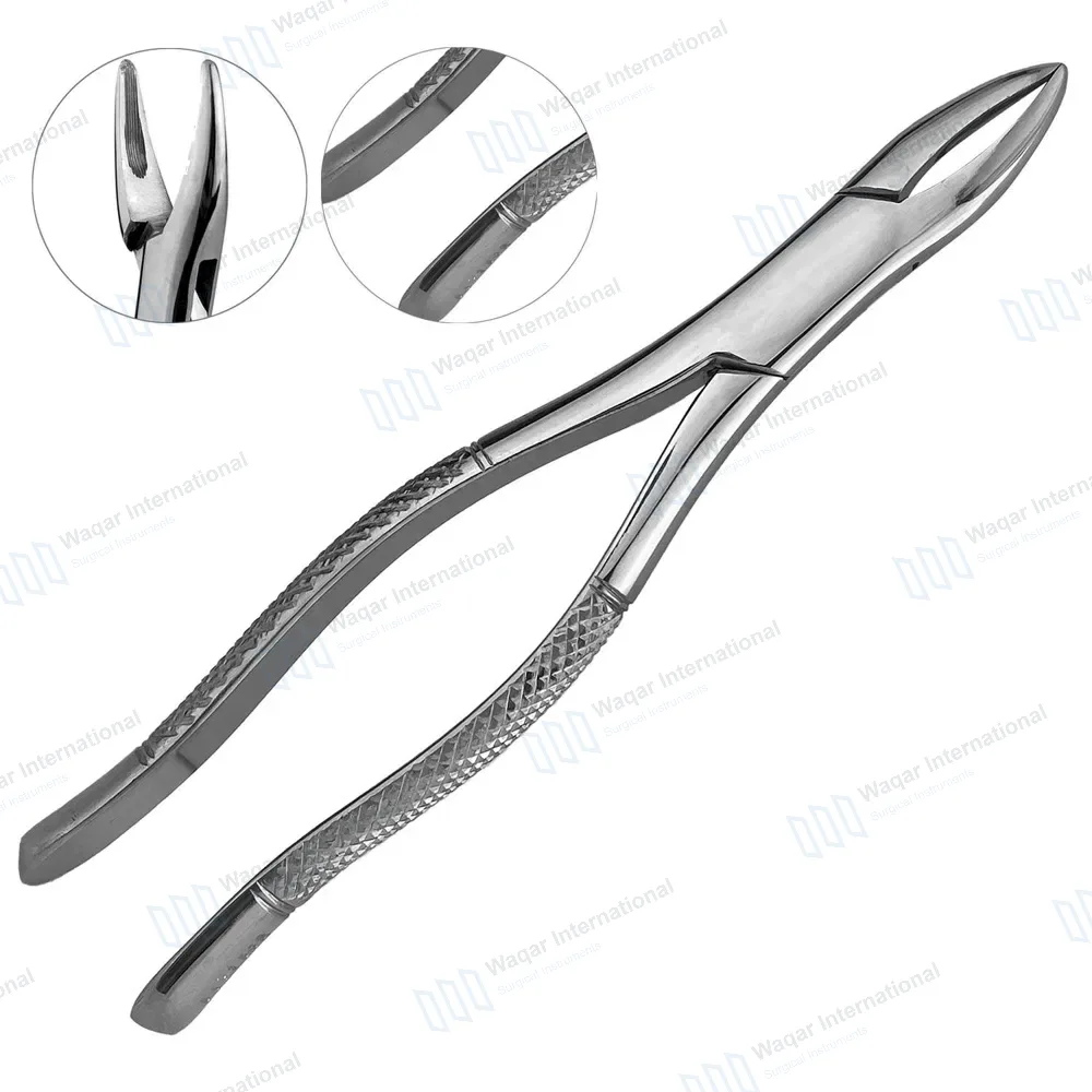 Extracting Forceps 1 Hen Dental Surgical