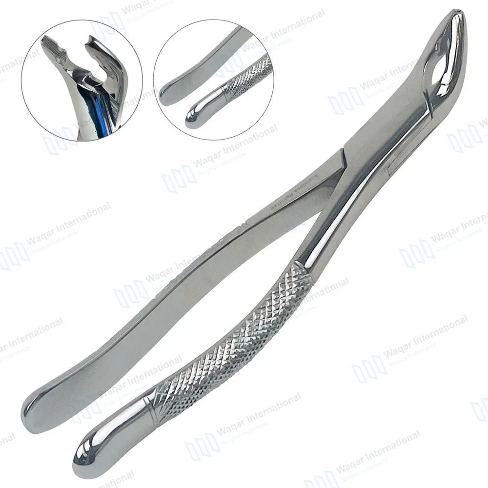 Dental Extracting Forceps #150AS Serrated Split Beaks