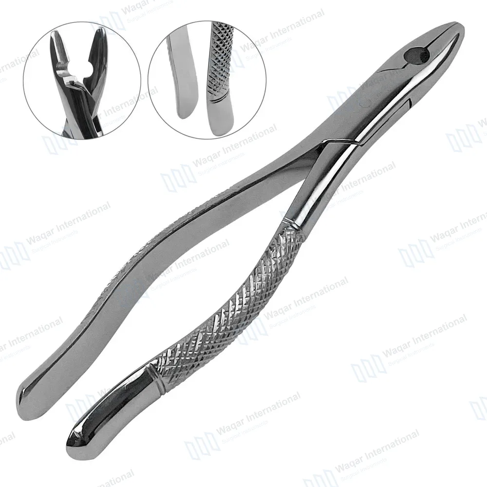 Dental Extracting Kells Forceps #99C