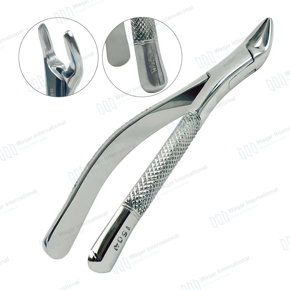 Extracting Forceps #150A for Upper Inscisors, Cuspids and Bicuspids