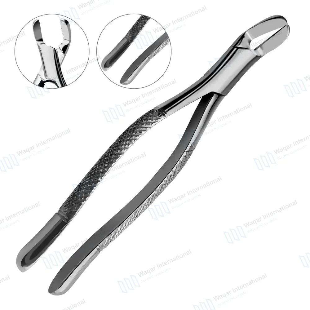 Extracting Forceps #6 Upper & Lower Teeth Splitting & Separating