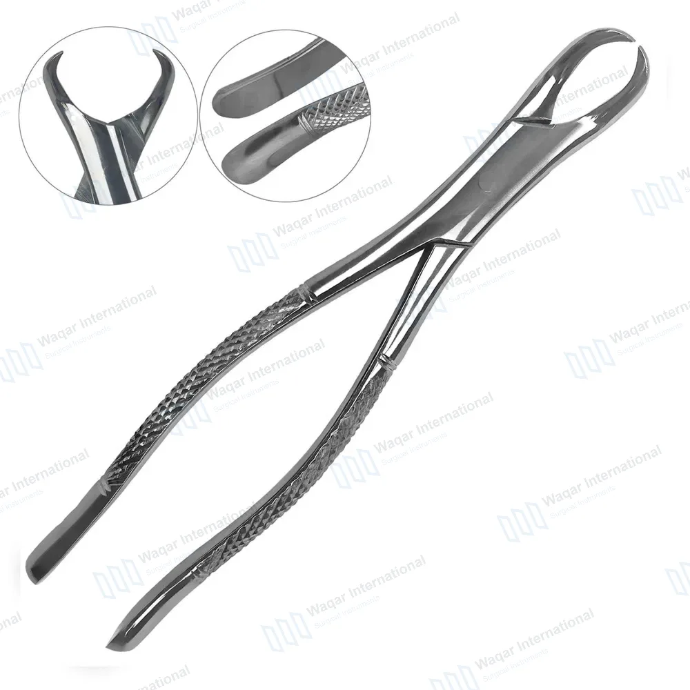 Extracting Forceps #23 Cow Horn Lower Molar
