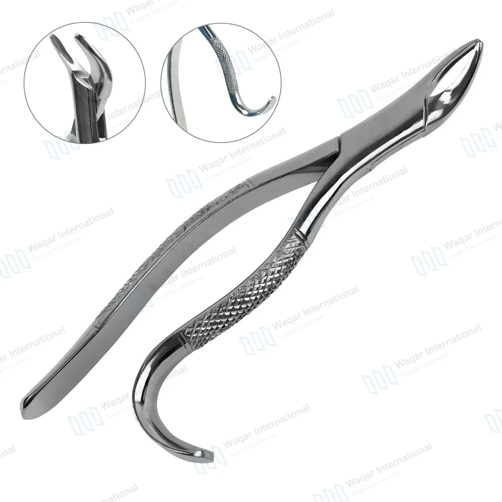 Extracting Forceps #103 for Lower Bicuspids, Incisors & Roots