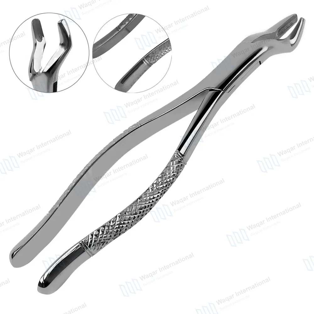 Dental Tooth Extracting Forceps #10S with Serrated Jaws