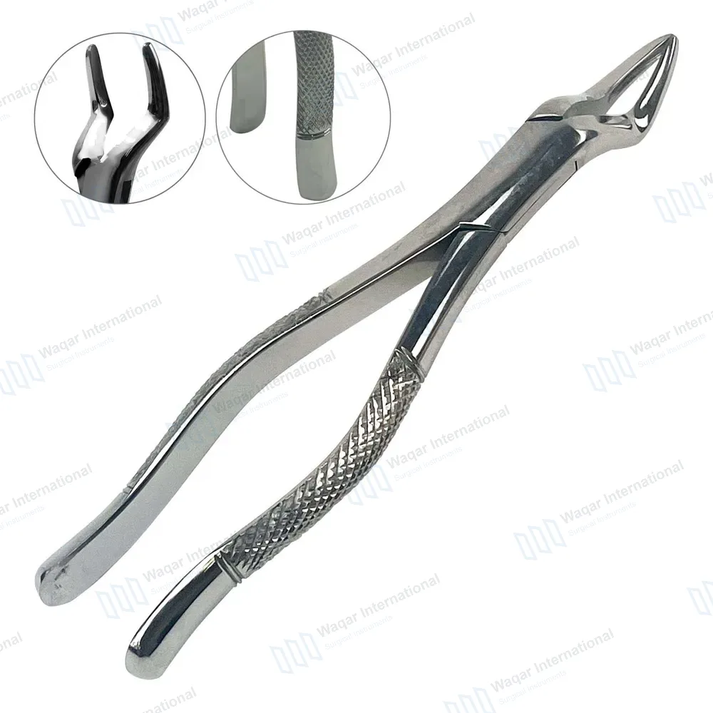 Dental Extracting Forceps #65 for Upper Roots Dental Tools