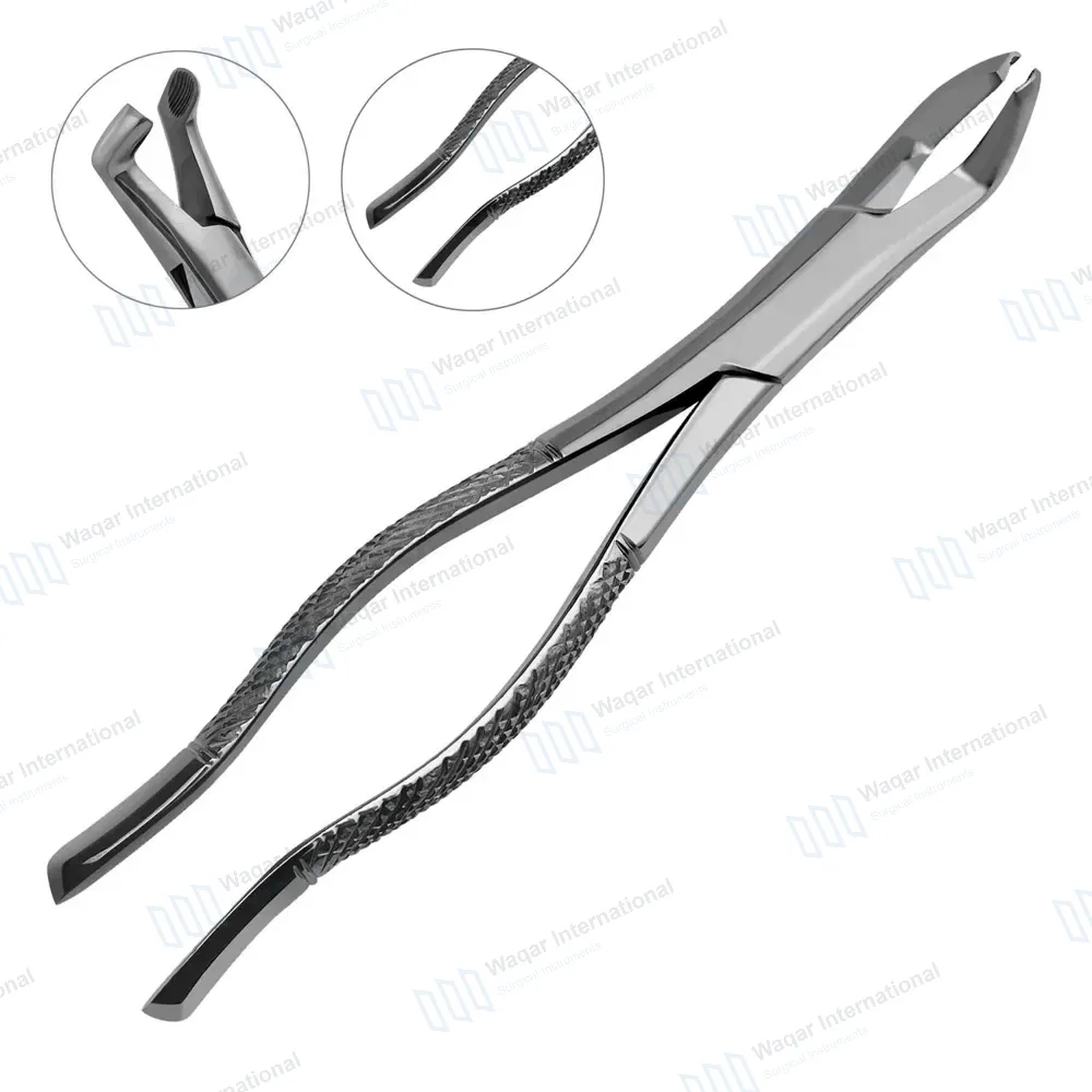 Dental Extracting Forceps #222 Lower 3rd Molars