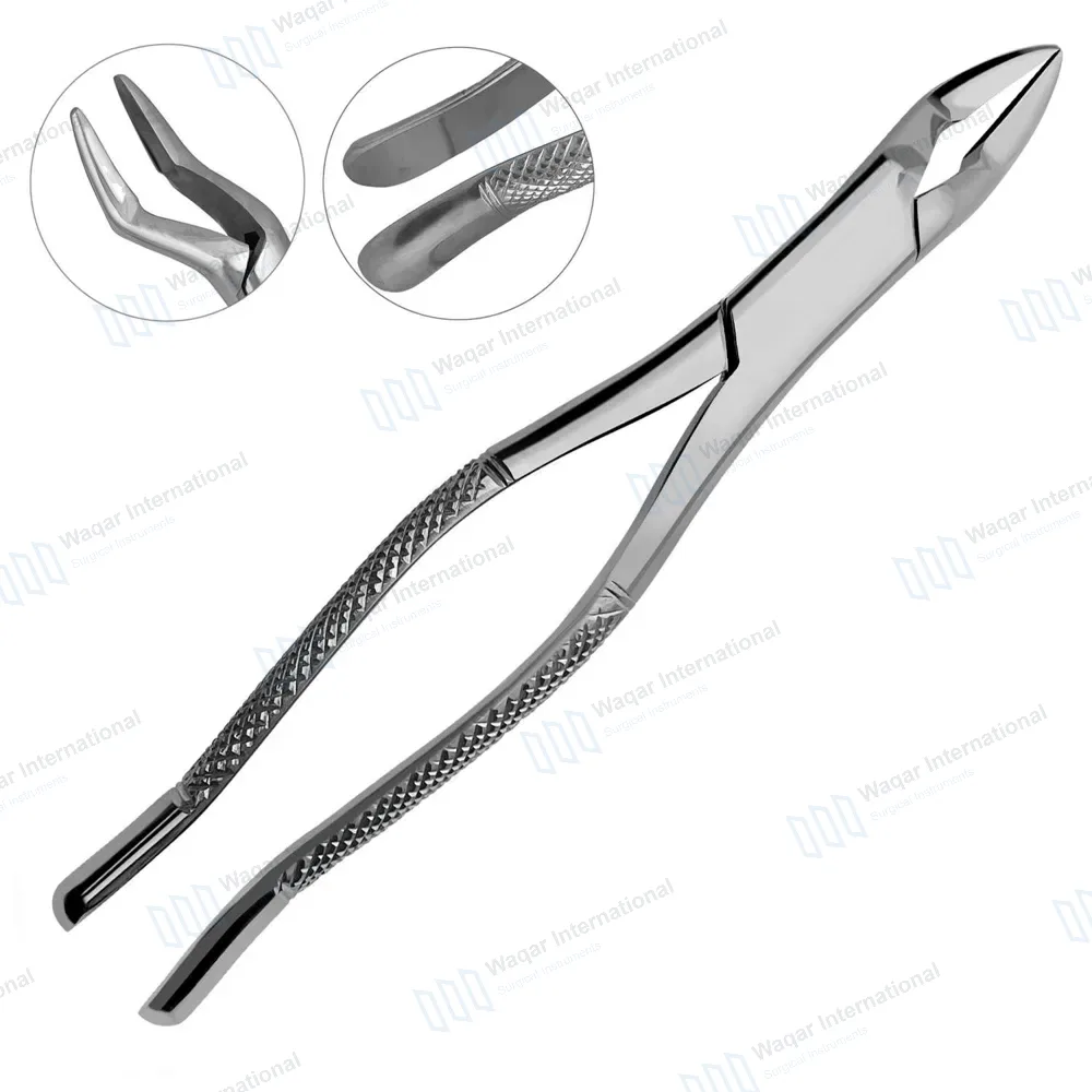 Dental Extracting Forceps #32 Upper Canines, Premolars & Molar
