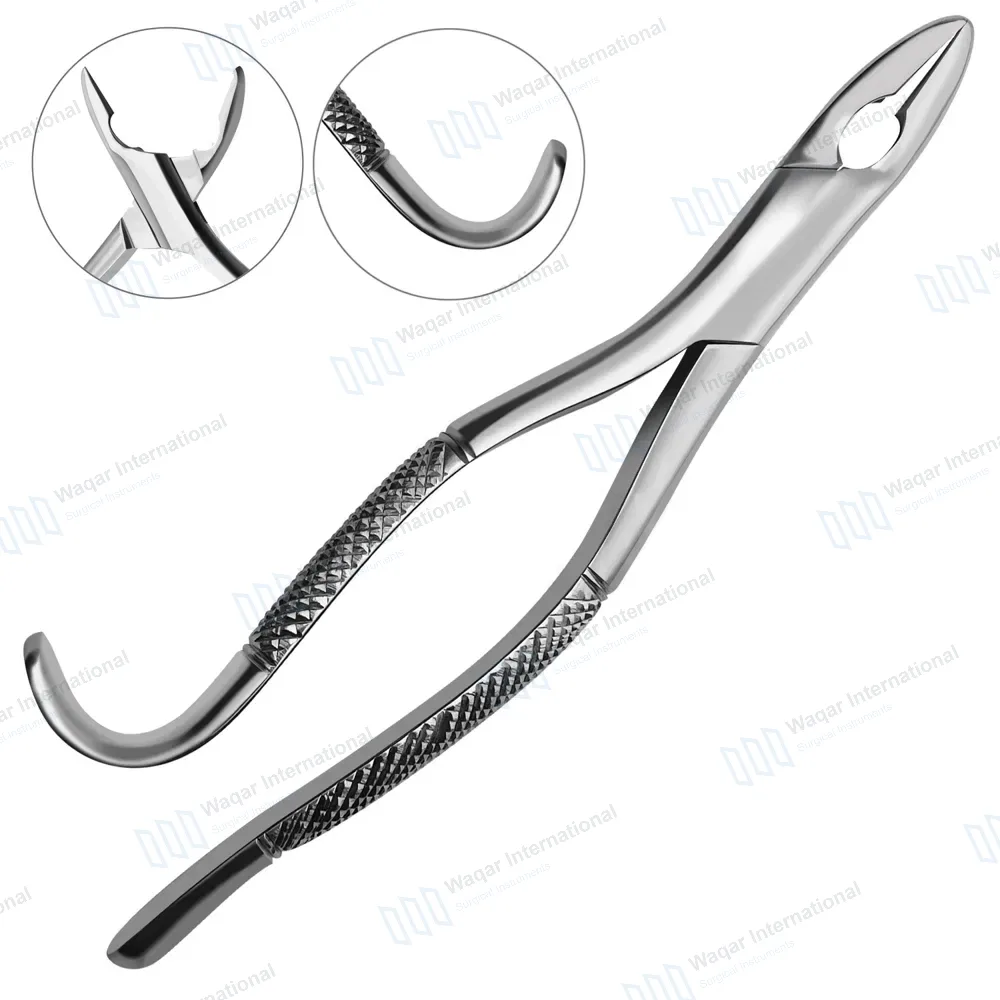 American Extracting Forceps No. 85A Lower Molars