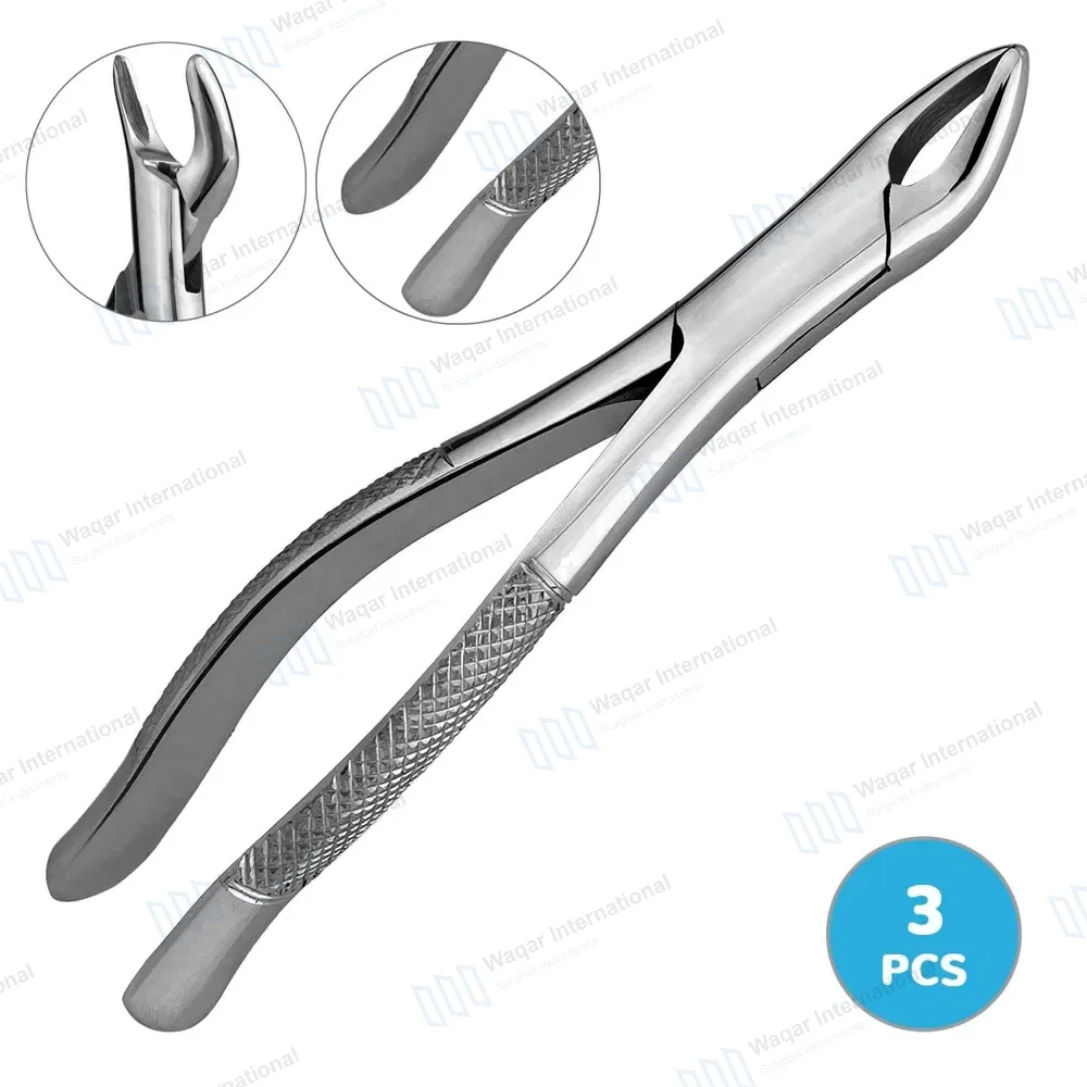 3 Pcs Extracting Forceps #62 Upper and Lower Anterior Teeth
