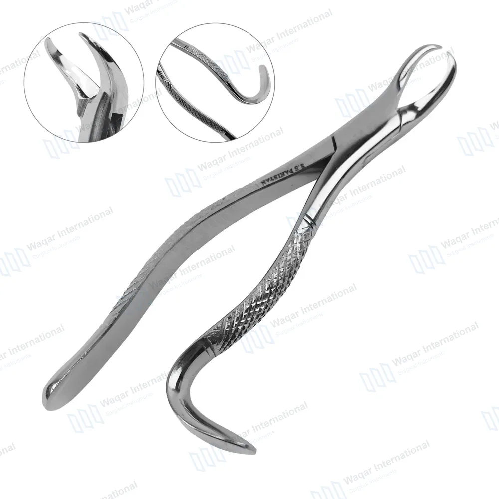 American Extracting Forceps #16S Lower Molars